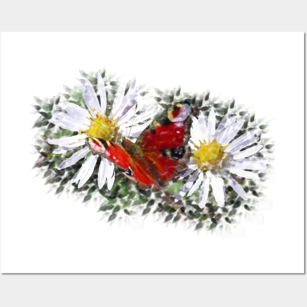 blooming daisies with a butterfly Wall Art by rh_naturestyles